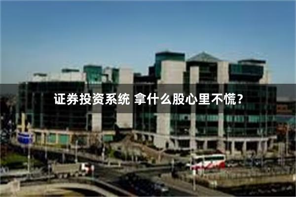 证券投资系统 拿什么股心里不慌？
