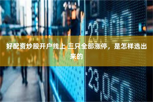 好配资炒股开户线上 三只全部涨停，是怎样选出来的