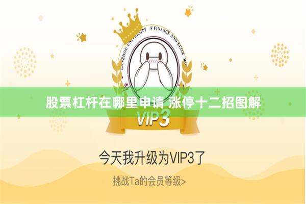 股票杠杆在哪里申请 涨停十二招图解