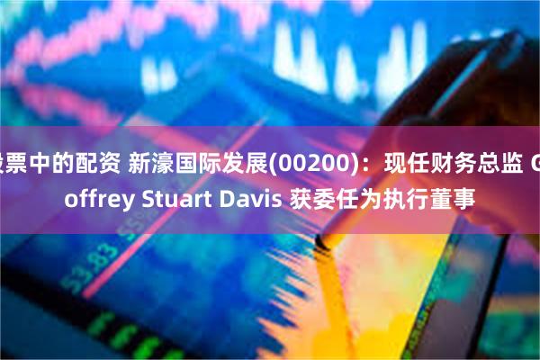股票中的配资 新濠国际发展(00200)：现任财务总监 Geoffrey Stuart Davis 获委任为执行董事