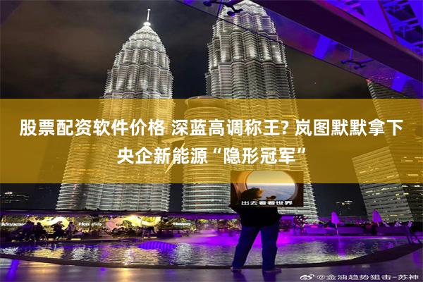 股票配资软件价格 深蓝高调称王? 岚图默默拿下央企新能源“隐形冠军”