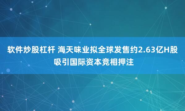软件炒股杠杆 海天味业拟全球发售约2.63亿H股 吸引国际资本竞相押注