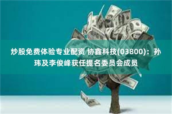 炒股免费体验专业配资 协鑫科技(03800)：孙玮及李俊峰获任提名委员会成员