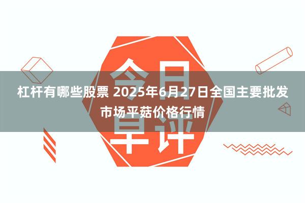 杠杆有哪些股票 2025年6月27日全国主要批发市场平菇价格行情