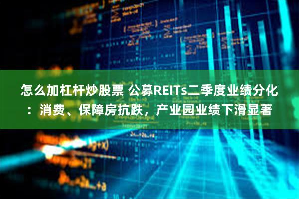 怎么加杠杆炒股票 公募REITs二季度业绩分化：消费、保障房抗跌，产业园业绩下滑显著
