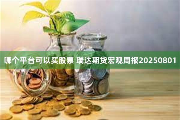 哪个平台可以买股票 瑞达期货宏观周报20250801