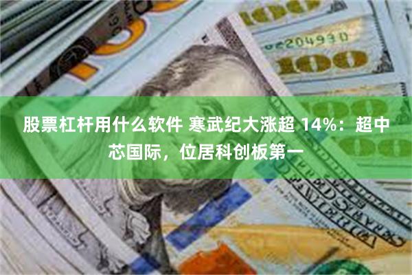 股票杠杆用什么软件 寒武纪大涨超 14%：超中芯国际，位居科创板第一