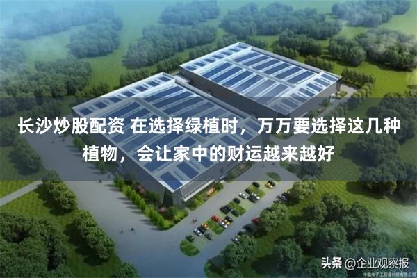 长沙炒股配资 在选择绿植时，万万要选择这几种植物，会让家中的财运越来越好