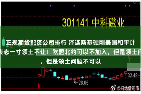 正规期货配资公司排行 泽连斯基硬刚美国和平计划,明确表态一寸领土不让!欧盟北约可以不加入,但是领土问题不可以