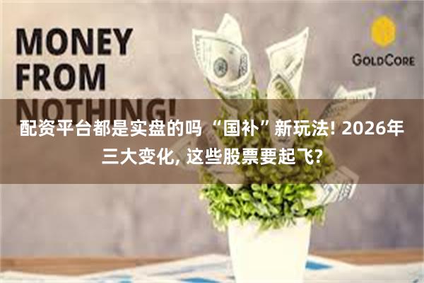 配资平台都是实盘的吗 “国补”新玩法! 2026年三大变化, 这些股票要起飞?