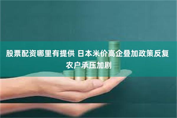 股票配资哪里有提供 日本米价高企叠加政策反复 农户承压加剧