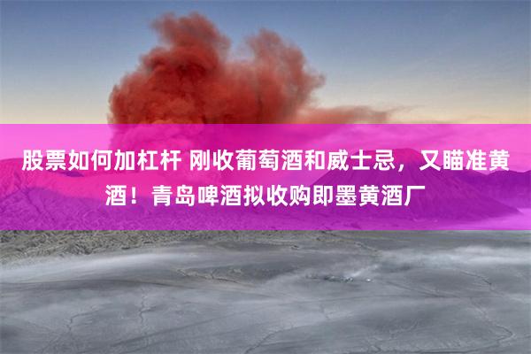 股票如何加杠杆 刚收葡萄酒和威士忌，又瞄准黄酒！青岛啤酒拟收购即墨黄酒厂