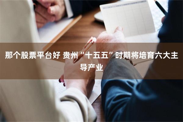 那个股票平台好 贵州“十五五”时期将培育六大主导产业