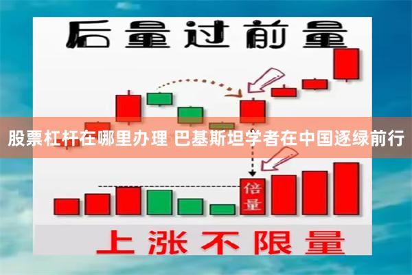 股票杠杆在哪里办理 巴基斯坦学者在中国逐绿前行