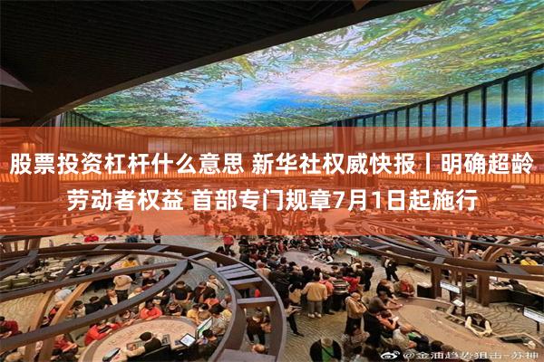 股票投资杠杆什么意思 新华社权威快报丨明确超龄劳动者权益 首部专门规章7月1日起施行