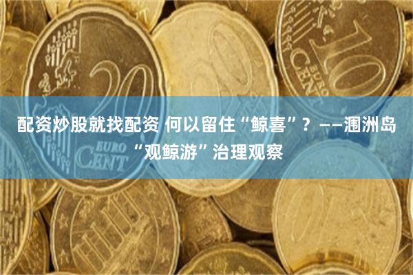 配资炒股就找配资 何以留住“鲸喜”？——涠洲岛“观鲸游”治理观察