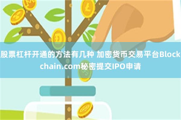 股票杠杆开通的方法有几种 加密货币交易平台Blockchain.com秘密提交IPO申请