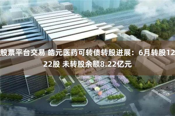 股票平台交易 皓元医药可转债转股进展：6月转股1222股 未转股余额8.22亿元