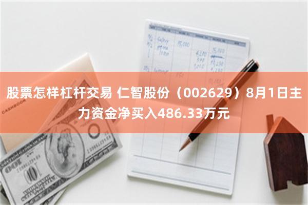 股票怎样杠杆交易 仁智股份（002629）8月1日主力资金净买入486.33万元