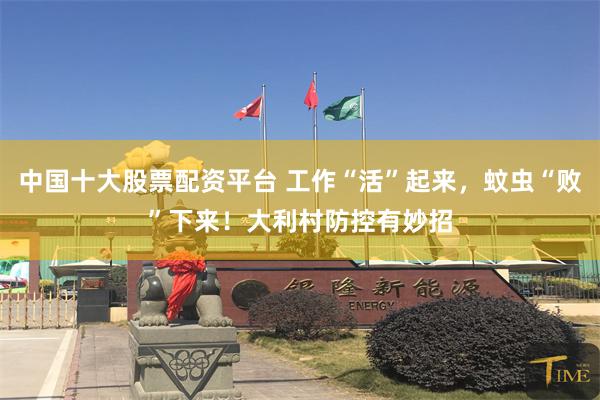 中国十大股票配资平台 工作“活”起来，蚊虫“败”下来！大利村防控有妙招