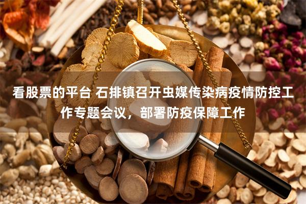 看股票的平台 石排镇召开虫媒传染病疫情防控工作专题会议，部署防疫保障工作