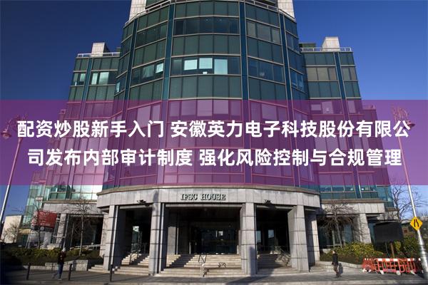 配资炒股新手入门 安徽英力电子科技股份有限公司发布内部审计制度 强化风险控制与合规管理