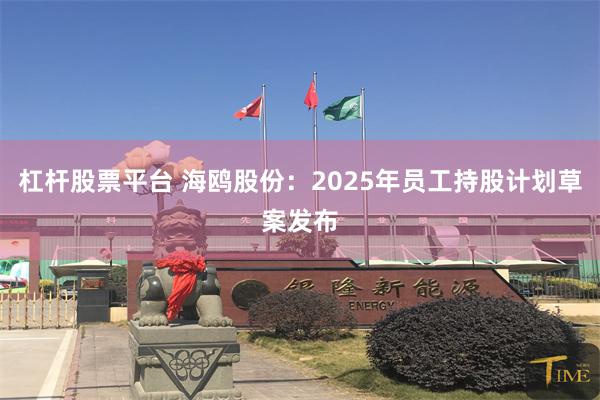杠杆股票平台 海鸥股份：2025年员工持股计划草案发布