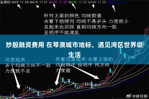 炒股融资费用 在琴澳城市地标,遇见湾区世界级生活