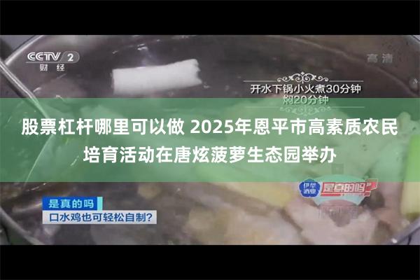 股票杠杆哪里可以做 2025年恩平市高素质农民培育活动在唐炫菠萝生态园举办